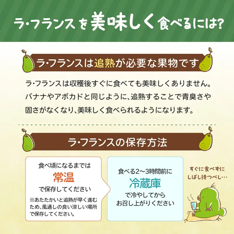 《先行受付》大江町産 山形ラフランス 5kg 13～20玉 L～5L【2026年11月中旬頃～発送予定】 048-005