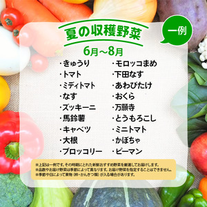 竜王町産 野菜 詰め合わせ セット 野菜セット 野菜 詰め合わせ 野菜 季節 野菜ソムリエ 厳選 採れたて やさい 10～14品