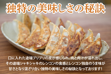 【お試しサイズ】蓮根肉餃子のおばけん【40粒】【野菜 ギョーザ れんこん しゃきしゃき おいしい 食べきり 茨城県 鹿嶋市】（KBU-20）