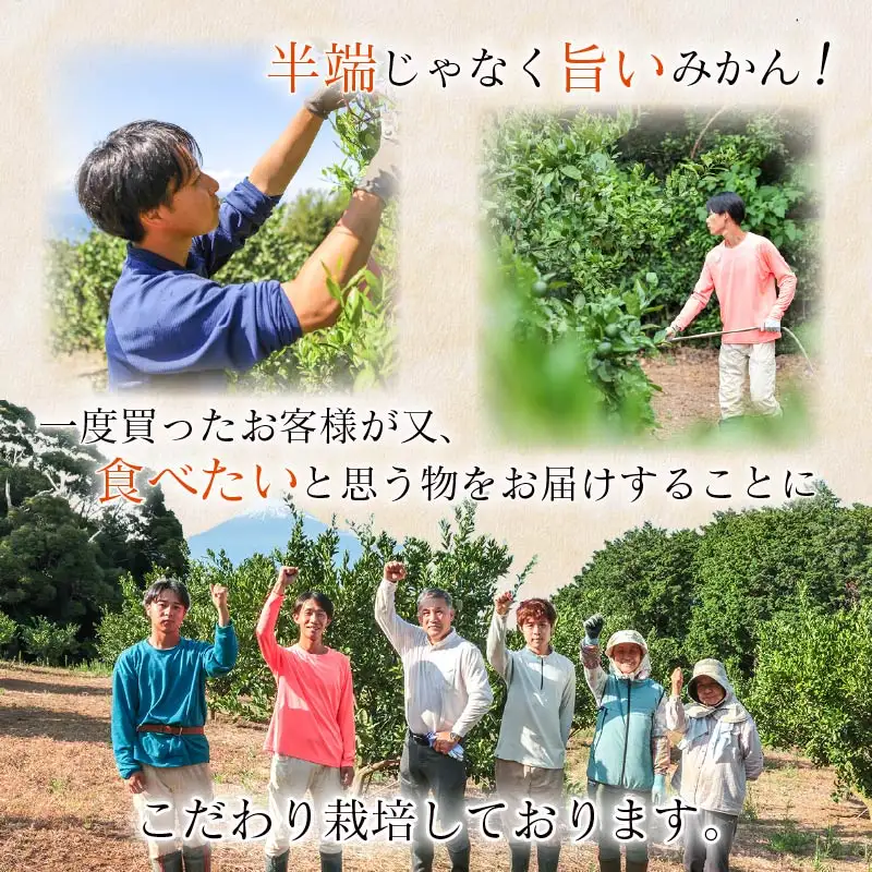 【先行予約】 究極の みかん ジュース 【2027年1月中旬以降発送】 720ml × 2本 化粧箱 入り 2026年 度 収穫 柑橘 西浦 丸榮 