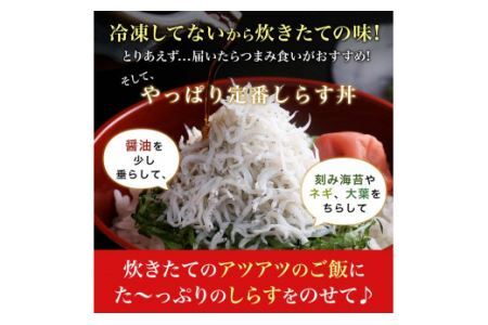 453.ザ☆プレミアムしらす1kg(B453-1)
