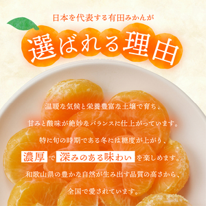 有田みかん「未来への虹」（10kg）(B2-2)