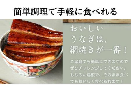 国産うなぎ蒲焼き大サイズ２本セット(B247-2)