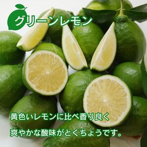 訳あり レモン (グリーンレモン) 3kg りのか ワックス不使用 レモン レモン 減農薬 柑橘 檸檬 くだもの 果実 国産 愛媛 みかん職人武田屋 グリーンレモン ブランド 愛媛県産 愛南 産直 レモン