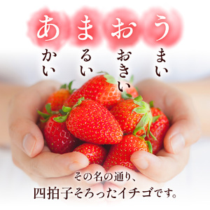 福岡県産 あまおう 500g　先行予約 2027年1月～3月末にかけて順次発送　BA005-3