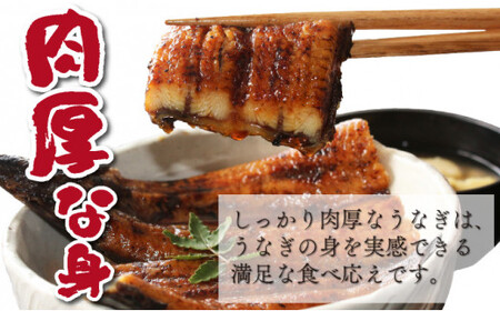 【数量限定】特大くしまの黒潮うなぎ蒲焼3尾（合計750g前後）_K023-008
