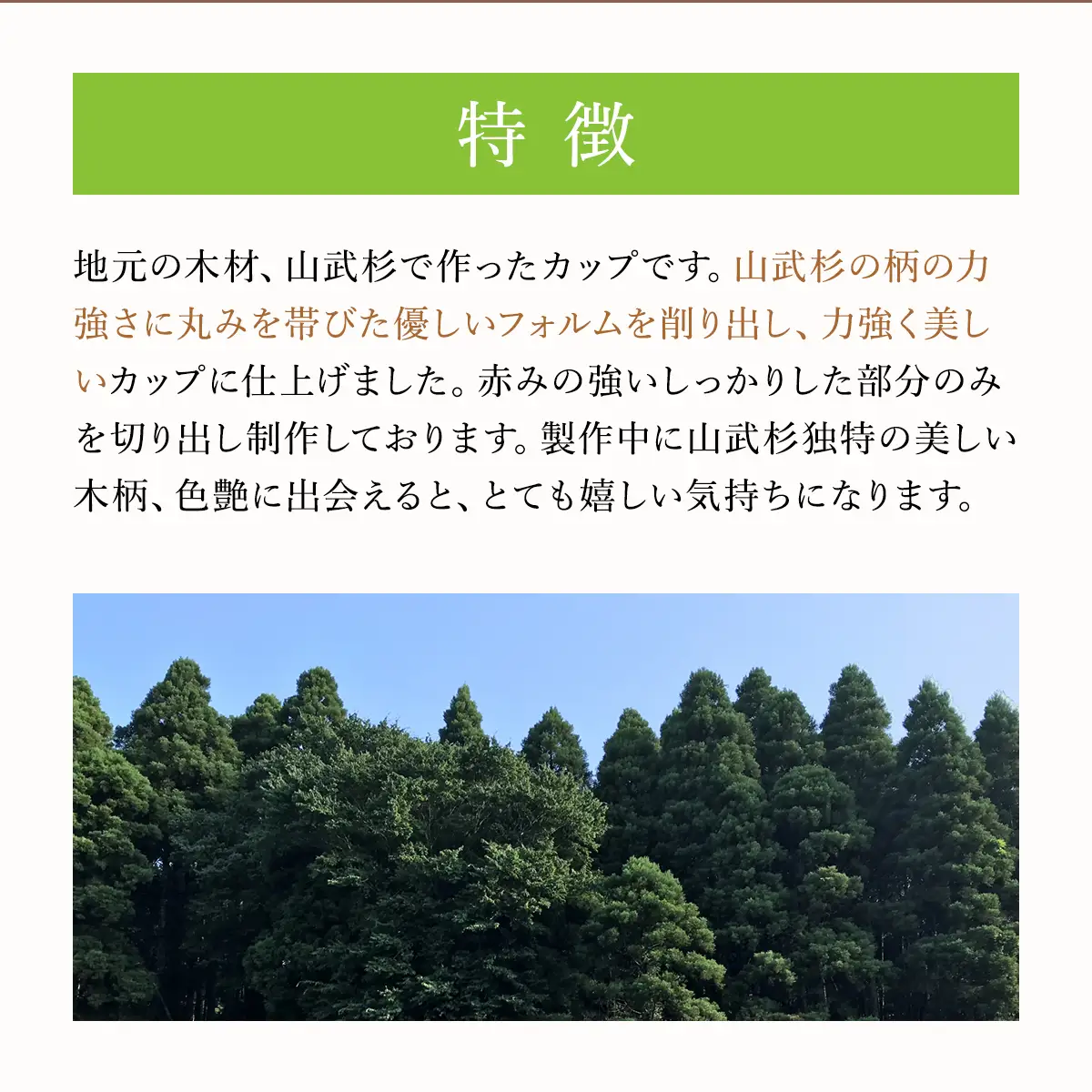 山武杉カップ ／山武杉 天然木 カップ 自然 ぬくもり 杉 ギフト プレゼント 千葉県 山武市 SMP004