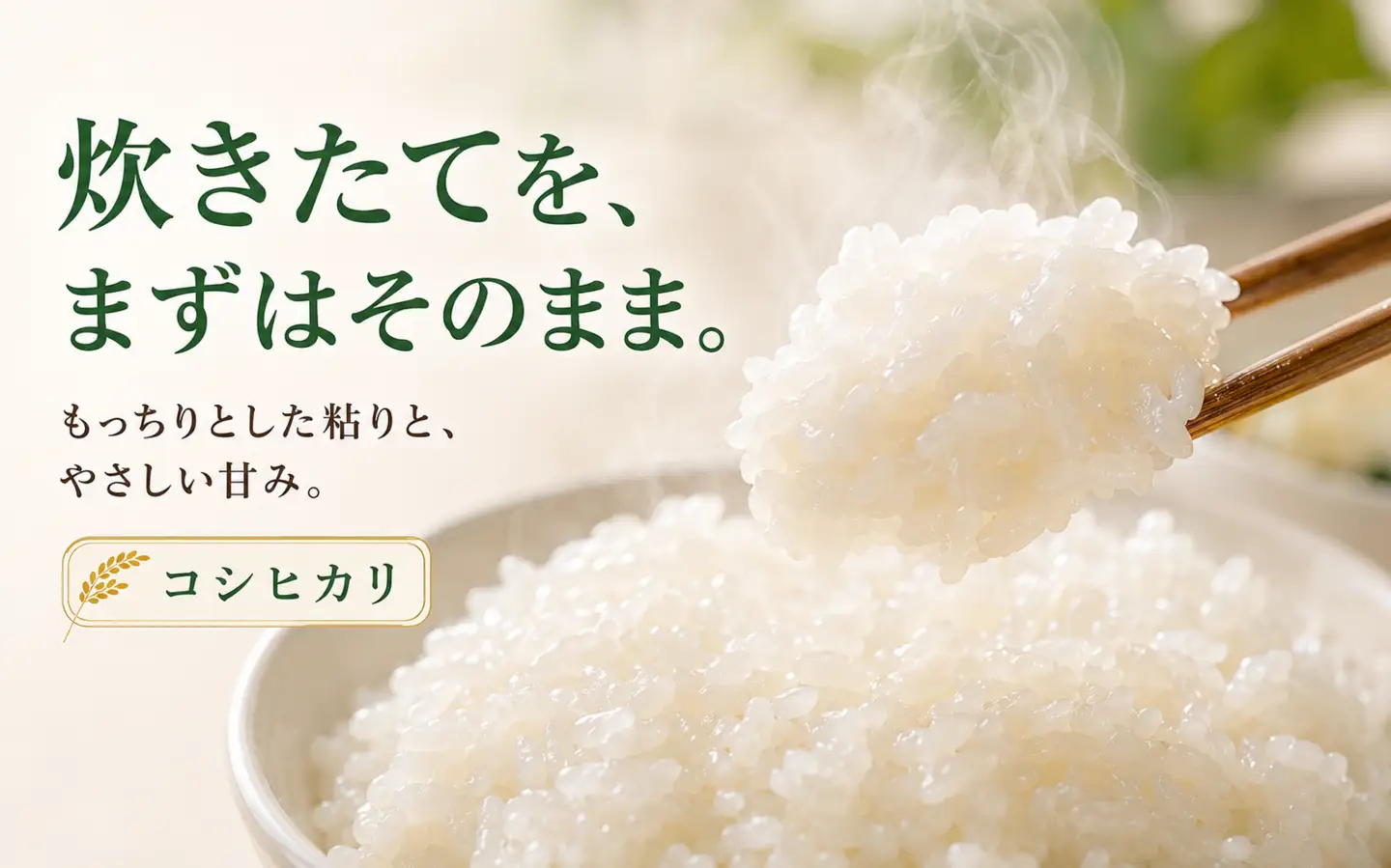 限定100件 【新米・先行予約】こしひかり 10kg 信濃町産 令和8年 精米 1等米比率9割超の信州米 2026年10月上旬発送予定 黒姫山麓 長野県信濃町