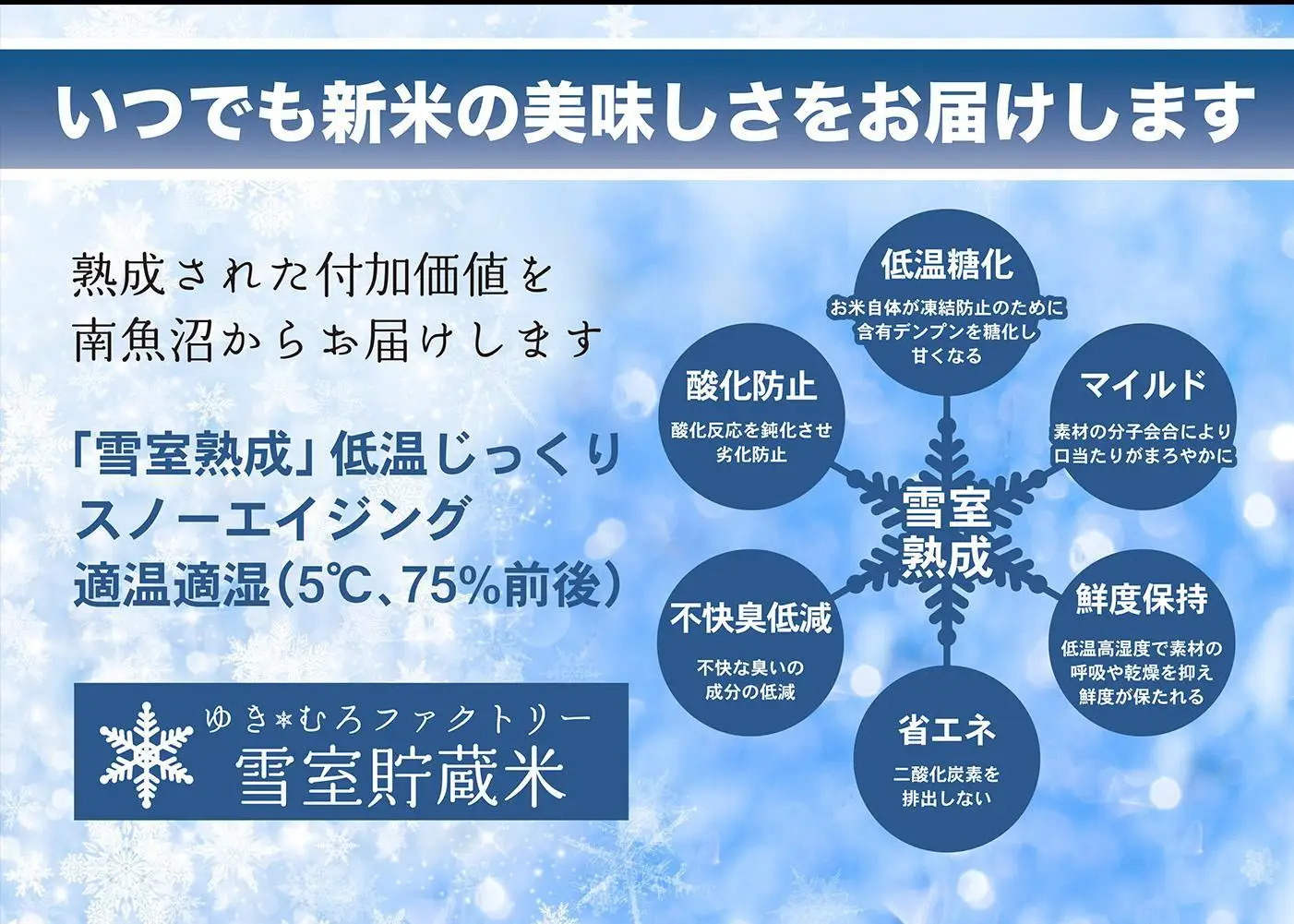 【令和８年 新米】脱気タイプ【定期便5kg×3回】雪室貯蔵米 塩沢産 従来コシヒカリ　|  コシヒカリ