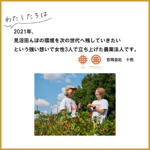 【十色とうがらしファーム】とうがらし＜旬の品種詰合せ＞【11100-0805】