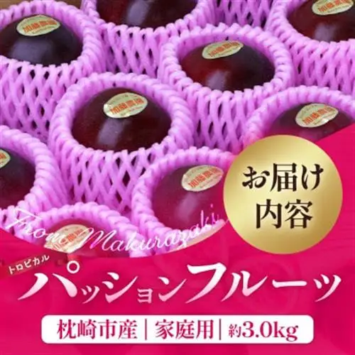 【先行受付】【訳あり】トロピカルパッションフルーツ約3Kg B3-111_果物・フルーツ   くだもの_【配送不可地域：離島】【1166522】