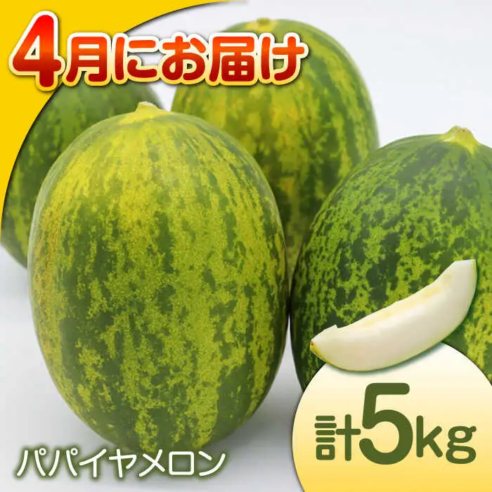 【偶数月 6回定期便】長崎・南島原グルメ バラエティ定期便 / バラエティ セット 野菜定期便 フルーツ定期便 フルーツ 果物 野菜 やさい そうめん 角煮 皿うどん ちゃんぽん / 南島原市 / 贅沢宝庫 [SDZ039]