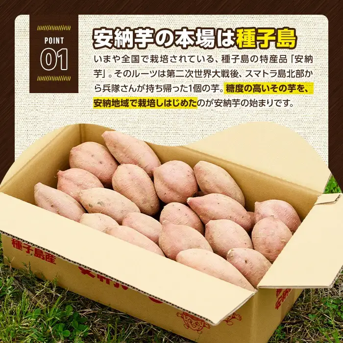 安納芋 Sサイズ・10kg 紅 さつまいも 数量限定 種子島産 【JA種子屋久】n230