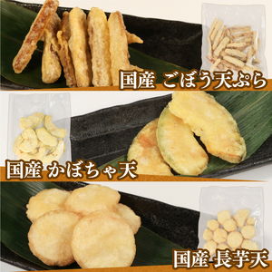 3ヶ月連続定期便 冷凍食品5種類セット いか塩天ぷら いか唐揚げ ごぼう天ぷら かぼちゃ天ぷら 長芋天ぷら 各180g×2袋 計1.8kg いか 烏賊 塩 天ぷら てんぷら ごぼう かぼちゃ 長芋 セット 冷凍 定期便 電子レンジ 惣菜 簡単 手軽 岩手県 大船渡市