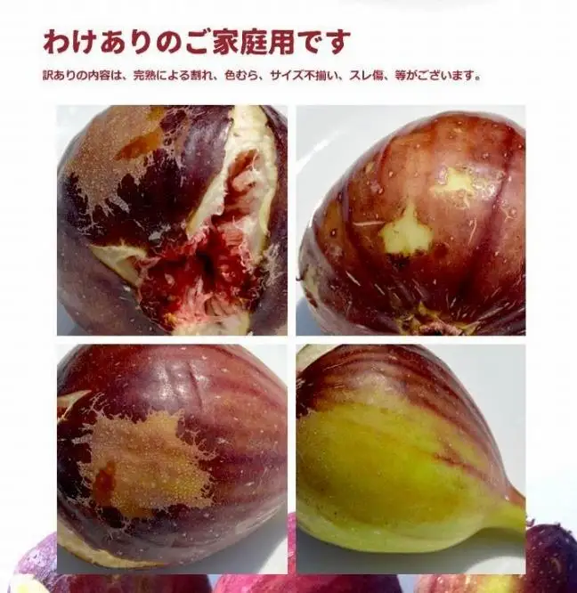 和歌山産 訳ありいちじく 約1.6kg(400g ×4パック)