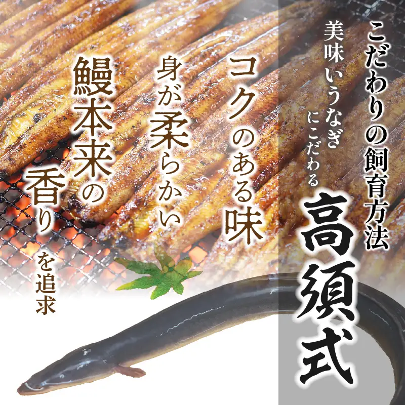 うなぎ 蒲焼 うなぎ[国産 訳あり 3尾 備長炭手焼き 300g]