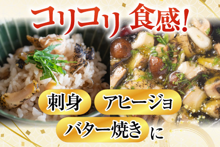 【北海道根室産】生食用灯台つぶ(ボイル済)250g×2P(計500g) G-11040