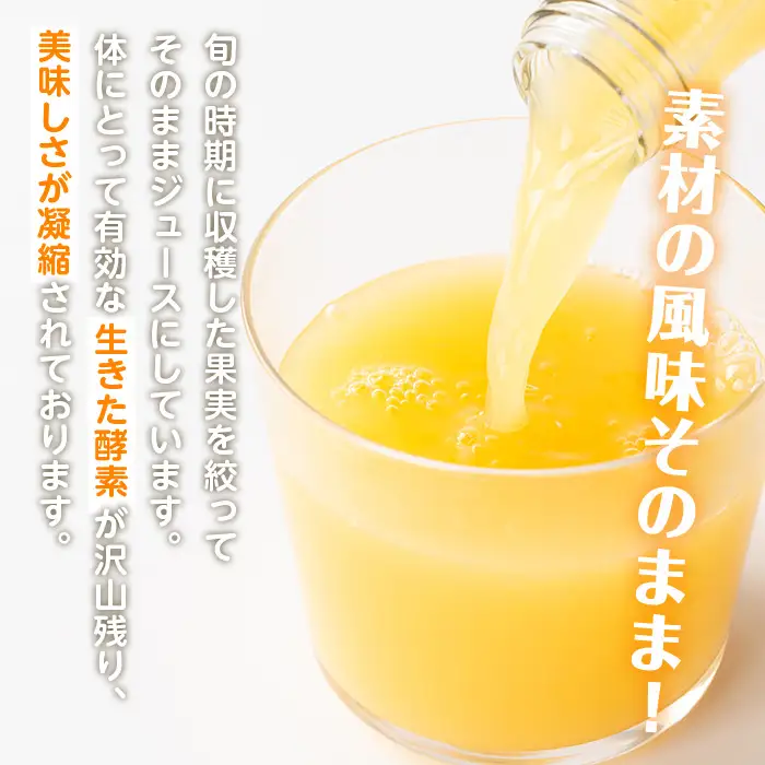 i990-A 河内晩柑ジュース(180ml×5本) 飲料 ジュース みかん 蜜柑 果汁 100% 河内晩柑 無着色 無香料 ストレートジュース 安心安全 ギフト 贈り物 贈答【江崎果樹園】
