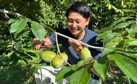 060-30　【限定20セット】　❝超希少❞　幻のフルーツ完熟ポポー1500ｇ