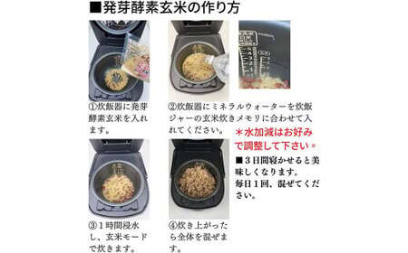 洗わずそのまま 発芽酵素玄米 炊飯セット+GABA 3合(450g)×4セット 合計12合分 炊くだけ 無洗