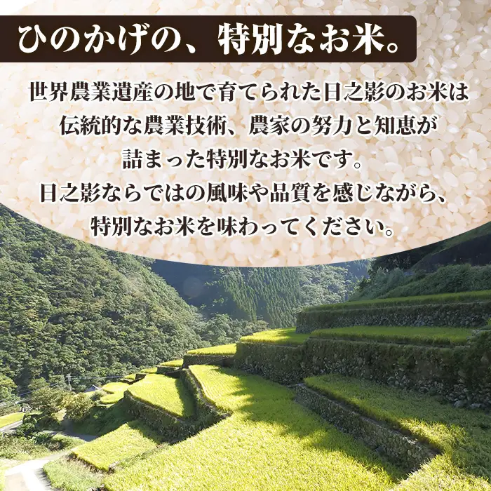 ＜令和7年産＞＜数量限定＞宮崎県日之影町産 ヒノヒカリ(計10kg・5kg×2袋) 米 精米 国産 ごはん 白米 【AF003】【株式会社ひのかげアグリファーム】