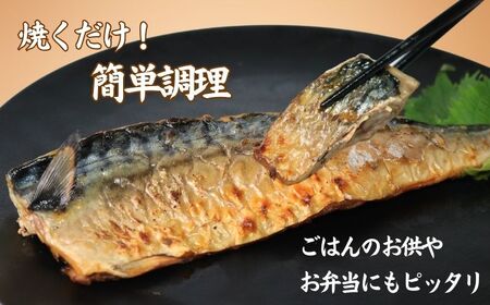 訳あり 塩鯖フィレ 3.5kg サバ サバ サバ 鯖 鯖 荒野商店