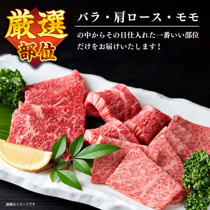 長崎和牛 焼肉用 500g CFT001 和牛 焼肉