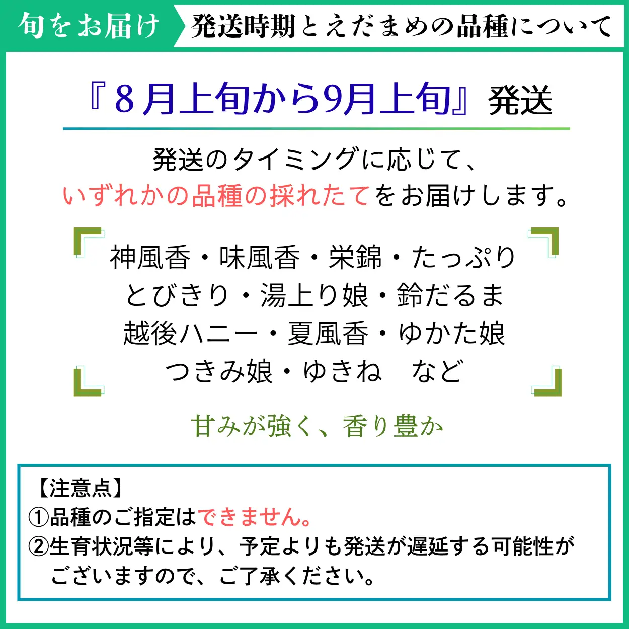 えだまめ 3kg 訳あり 枝豆 えだ豆 秋田県 井川町産えだまめ