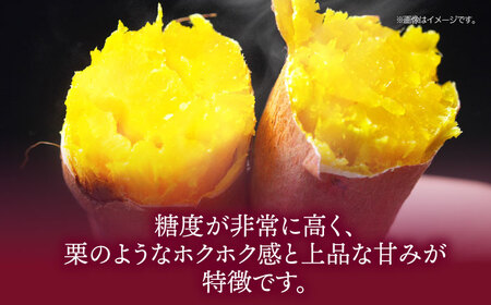 さつまいも（金時） 10kg さつまいも 芋 野菜 焼き芋 /愛たい菜 [AGAP013]