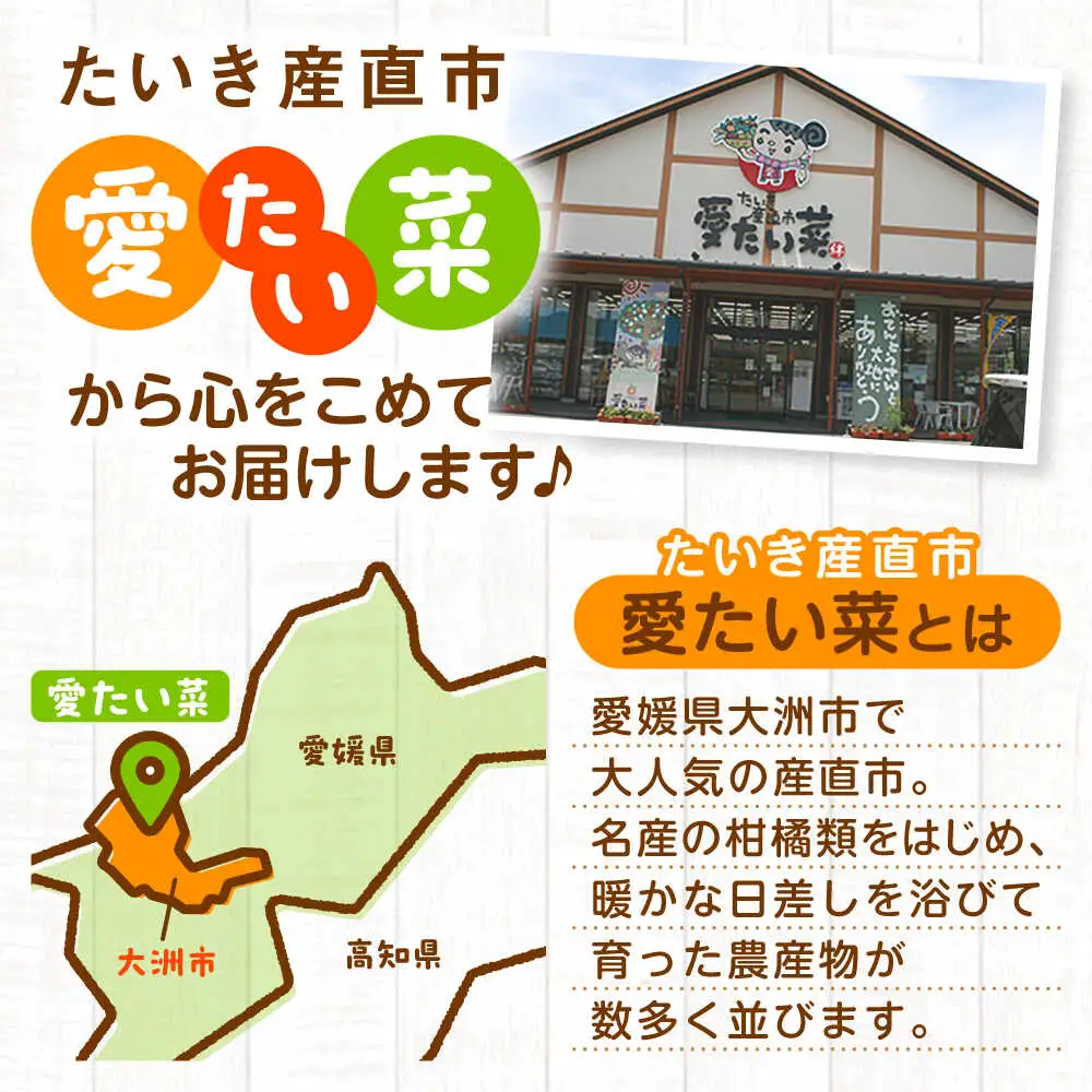 野菜定期便【12回定期便】野菜定期便（6種以上）[AGAP017]