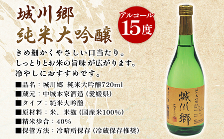 ＜日本酒 城川郷「純米吟醸」「純米大吟醸」飲み比べセット 720ml×2本＞ お酒 さけ ギフト 贈り物 贈答用 お祝い 御祝い 内祝い 家飲み 宅飲み お酒セット 乾杯 特産品 中城本家酒造 愛媛県 西予市【常温】『1か月以内に順次出荷予定』SNH0002