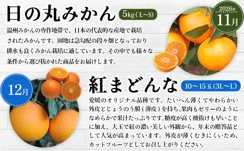 【先行予約】＜2026年11月発送開始 えひめかんきつ定期便 全6回＞ 果物 フルーツ みかん ミカン 蜜柑 日の丸みかん 紅まどんな 伊予柑 いよかん デコポン せとか 河内晩柑 かわちばんかん 愛媛県観光物産協会 愛媛県 西予市【常温】『2026年11月に第1回目を順次出荷予定』OEK0001