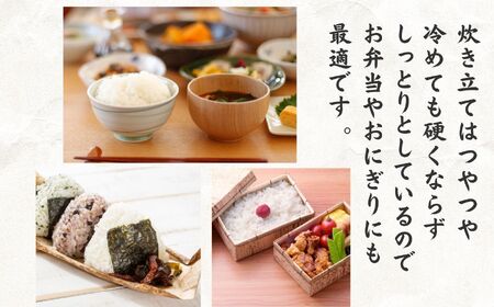【令和7年産】コシヒカリ 5kg×2袋 10㎏ 新潟県 糸魚川産「塩の道」牧江米店【こしひかり 食品 おすすめ】