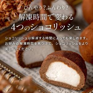 訳あり ショコリッシュ 500g いちごミルク味  約20～22個入り ｜スイーツ スイーツ チョコレート