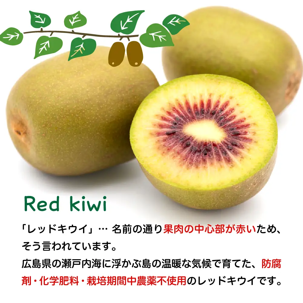 【先行受付】【2026年9月下旬～発送】希少品種「 レッドキウイ 」国産 約1kg ku033-002-26