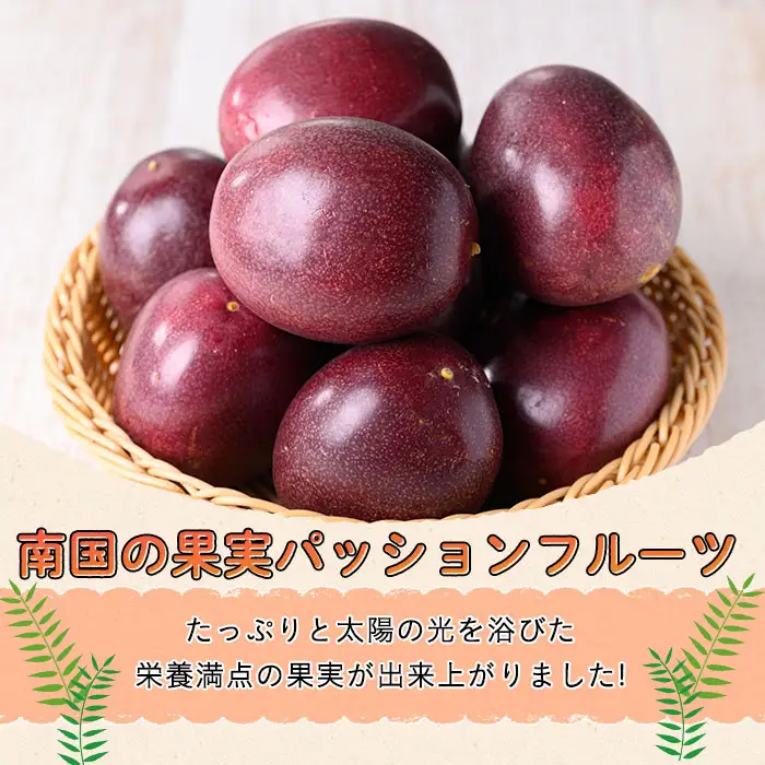 パッションフルーツ 約1.3kg以上・9～15個入 国産 果物 常温 【ひさちゃん養蜂園】n258