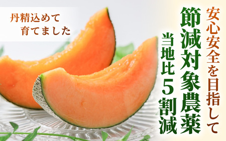 マルセイユメロン（赤肉メロン）3L 2玉入り（1玉：約1～1.3kg） 2027年6月上旬以降発送 [A-19207]