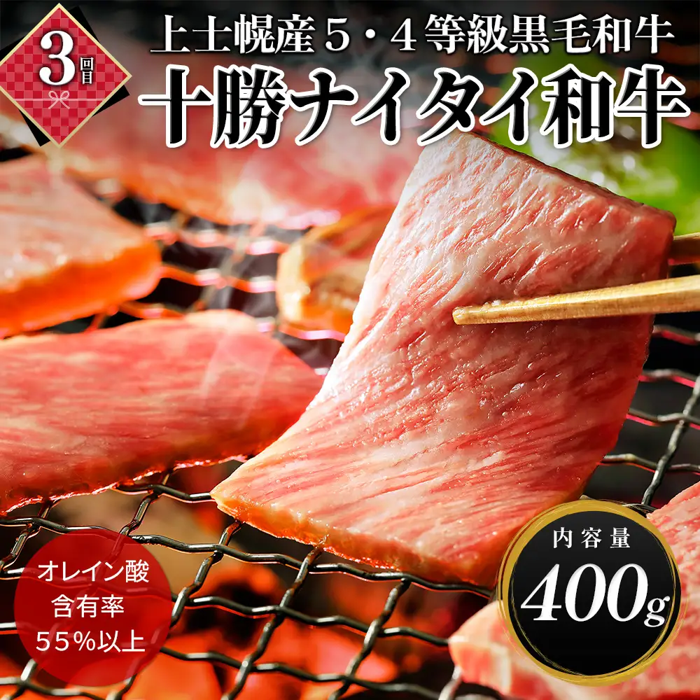十勝ナイタイ和牛 特選 定期便 5回 5ヵ月定期便 国産 北海道 牛 肉 牛肉 和牛 5・4等級 黒毛和牛 オレイン酸含有率55%以上 焼肉 すき焼き ステーキ サーロイン ヒレ フィレ 肩ロース リブロース 冷凍