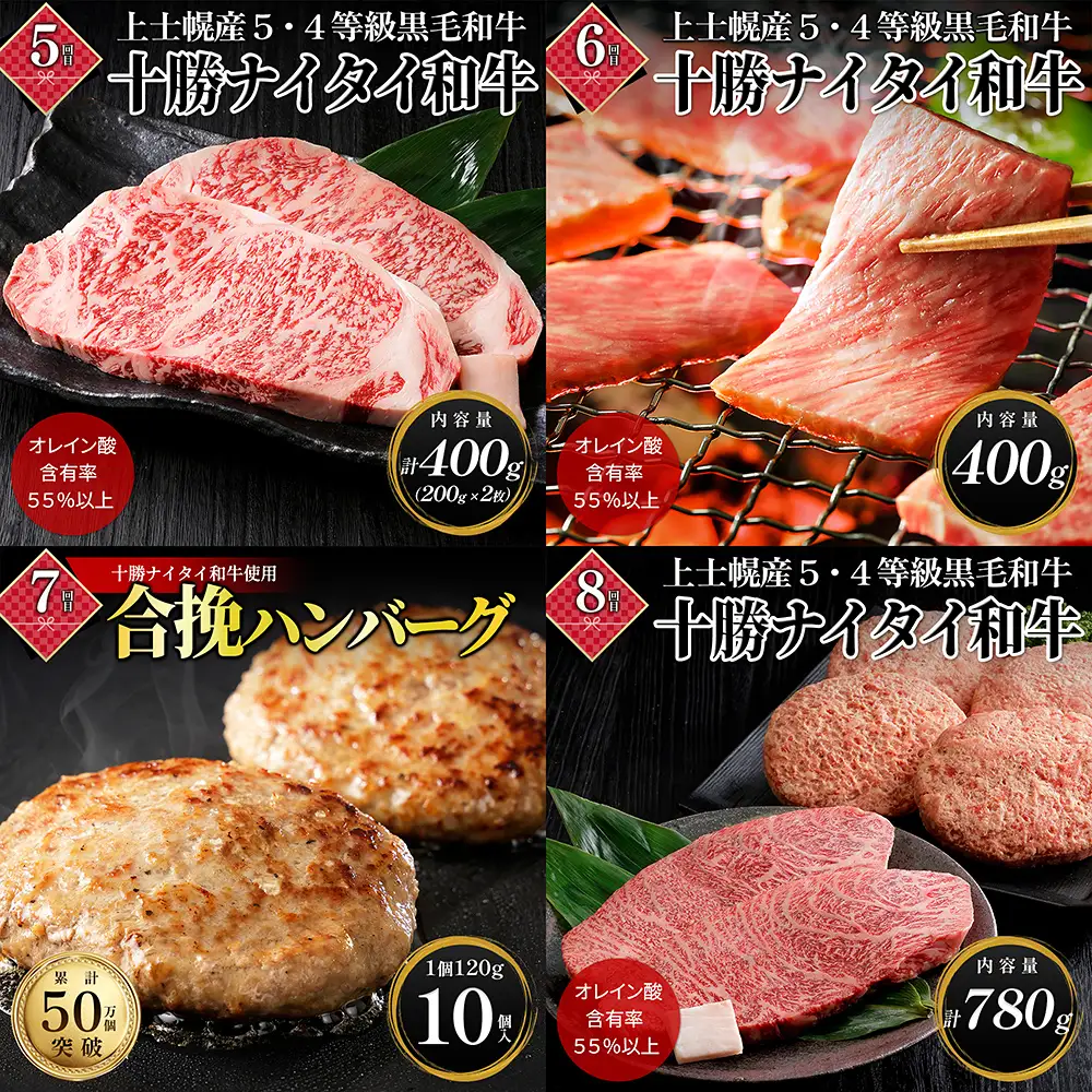 十勝ナイタイ和牛 一年満喫 定期便 12回 12ヵ月定期便 29（ニク）万円 国産 北海道 牛 肉 牛肉 和牛 5・4等級 黒毛和牛 オレイン酸含有率55%以上 サーロイン ヒレ 焼肉 すき焼き ハンバーグ 冷凍