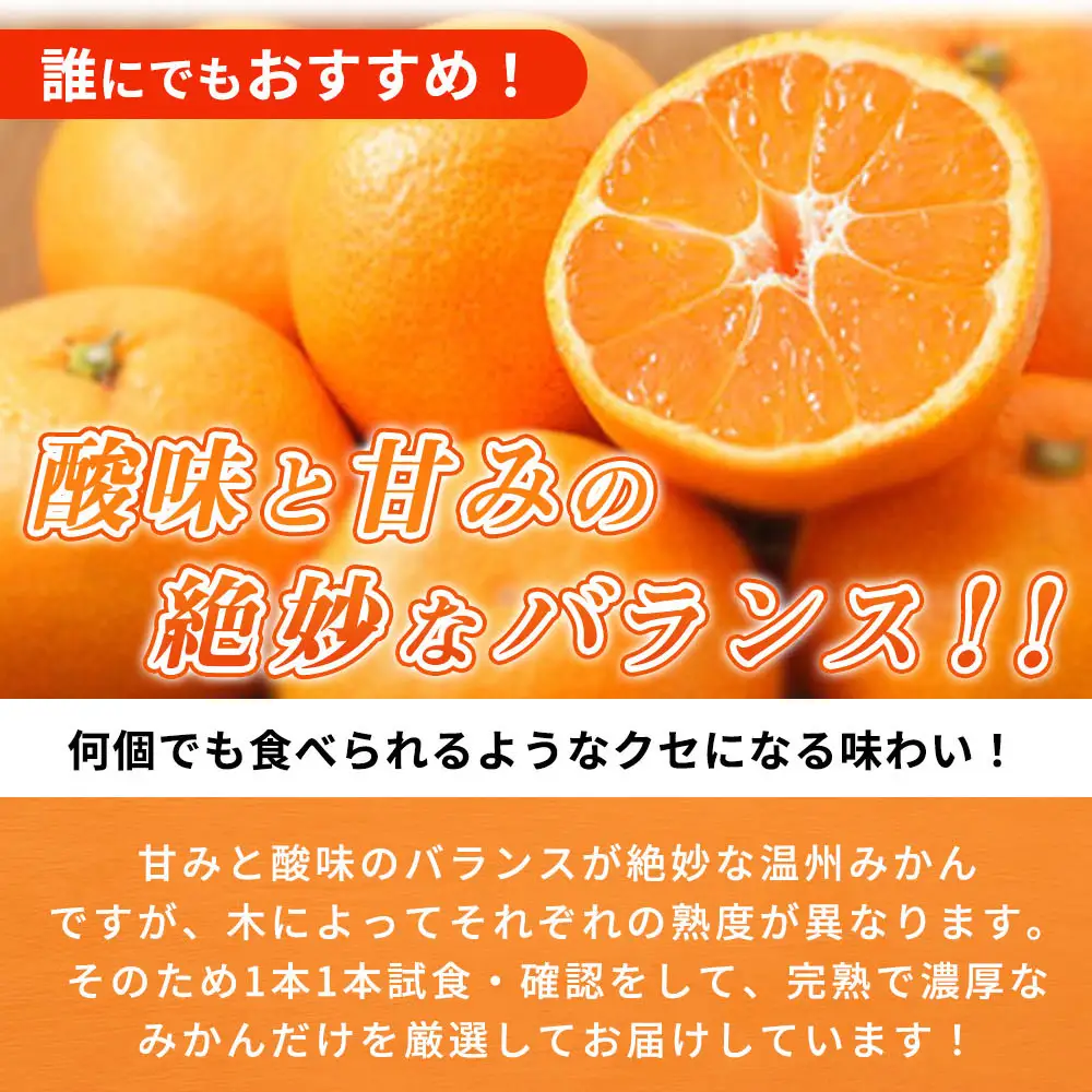 【2026年11月下旬より発送】紀州有田産 濃厚甘熟温州みかん 5kg_G7043