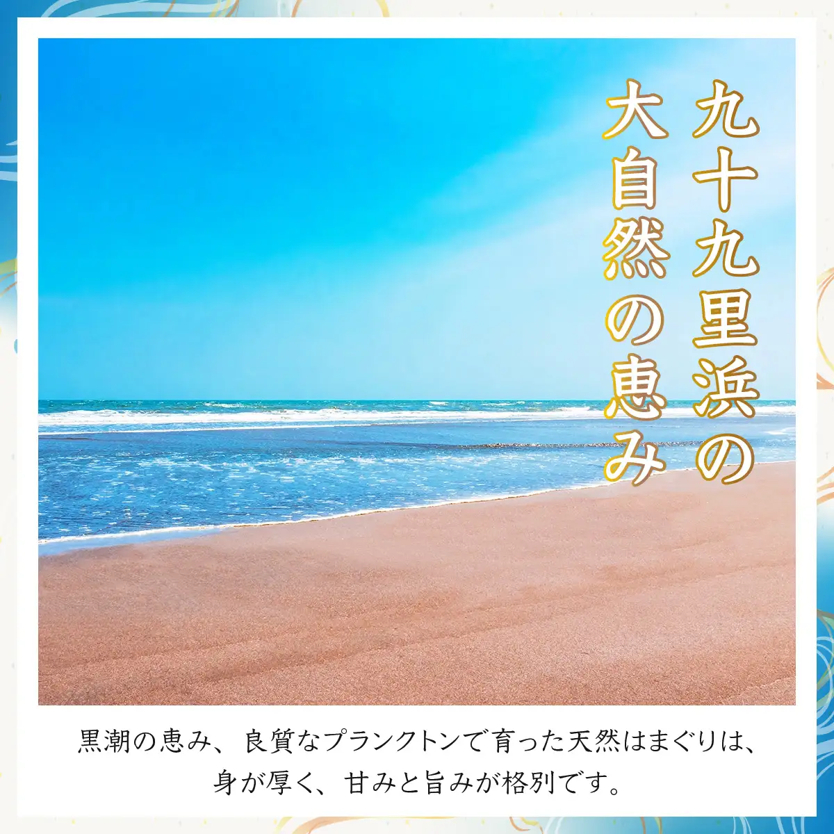 九十九里浜産活天然はまぐりサイズお任せ3kg入り SMBB002