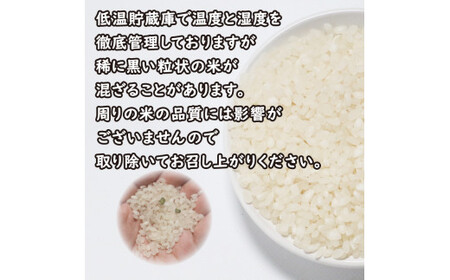 先行予約 新米 令和6年産 にじのきらめき 5kg 7000円 お米 白米 精米 低温 貯蔵庫 産地直送 国産 農家直送 期間限定 数量限定 特産品 先行 事前 予約 受付 令和6年度産 2024年産 新品種 大粒 もっちり 粘り 甘み おいしい おにぎり コシヒカリ に負けない 内祝い お祝い 贈答品 お返し プレゼント 土産 御礼 お礼 お取り寄せ 愛南町 愛媛県 マルハラファーム お米 白米 精米 お米 白米 精米 お米 白米 精米 お米 白米 精米 お米 白米 精米 お米 白米 精米 お米 白米 精米 お米 白米 精米 お米 白米 精米 お米 白米 精米 お米 白米 精米 お米 白米 精米 お米 白米 精米 お米 白米 精米 お米 白米 精米 お米 白米 精米 お米 白米 精米 お米 白米 精米 お米 白米 精米 お米 白米 精米 お米 白米 精米 お米 白米 精米 お米 白米