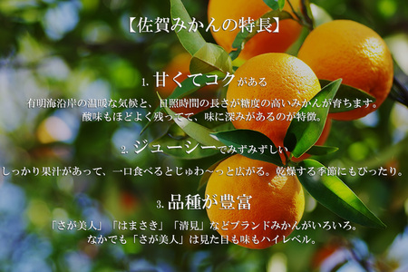 DV146_【計７回】柑橘好きのための佐賀みかん定期便
