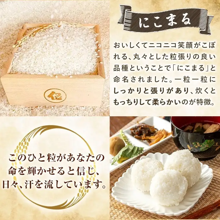 K-198-G 【12回定期便】令和7年産 てまひま米(品種:にこまる)(計60kg：5kg×12回)【末蜜農園】霧島市 お米 精米 白米 米 こめ コメ ご飯 ごはん 定期便 栽培期間中農薬不使用