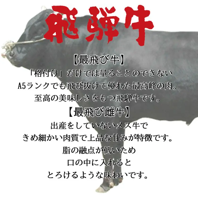 【最飛び雌牛】飛騨牛A5等級切り落とし　600g【配送不可地域：離島】【1520140】