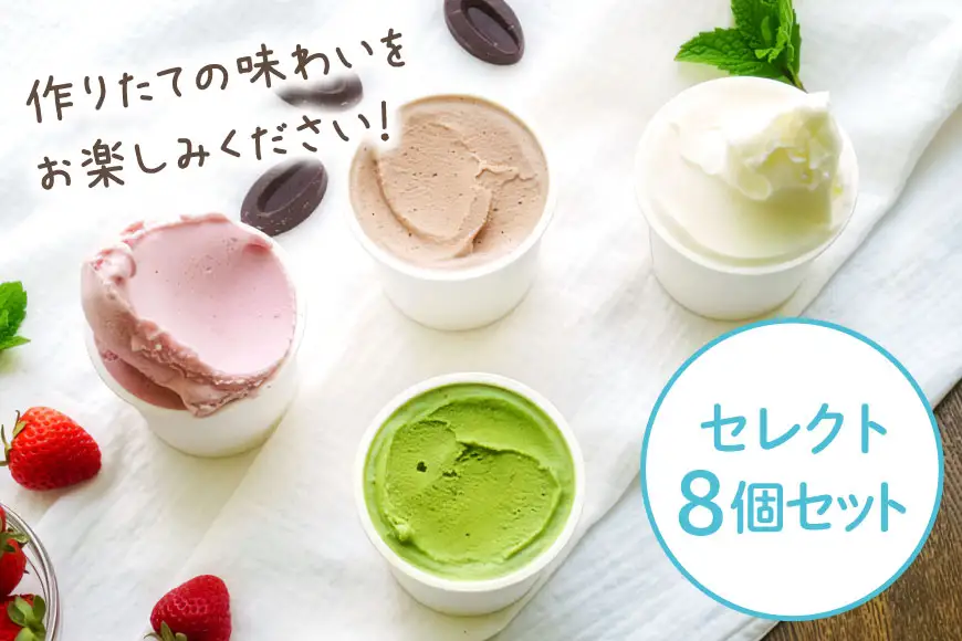 アイス ナチューラのアイスクリーム セレクト 8個入り