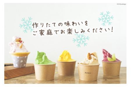 アイス ナチューラのアイスクリーム Cおまかせセット 12個入り