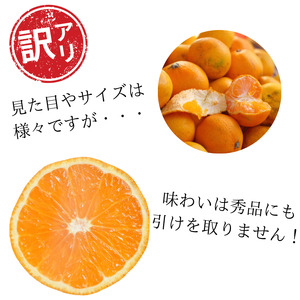 【訳あり】農家直送 有田みかん約5kg ご家庭用 サイズ混合 ※2026年11月中旬から2027年1月中旬までに順次発送予定（お届け日指定不可）※北海道・沖縄・離島への配送不可　訳ありみかん 温州みかん サイズ混合 有機質肥料100% ふるさと納税 柑橘 有田 産地直送 【nuk161E】