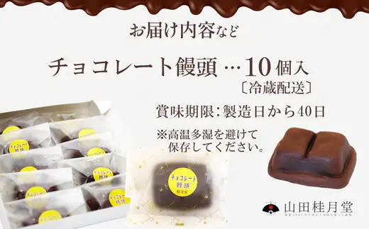 ＜山田桂月堂＞チョコレート饅頭　10個入り　45P023010【 山田桂月堂】