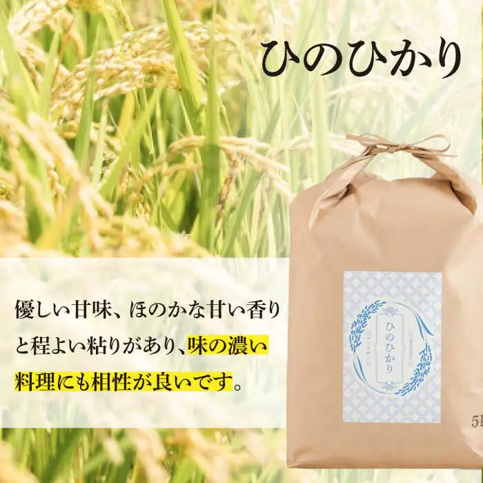 【三ツ星お米マイスター厳選】【食べ比べセット】 ヒノヒカリ なつほのか 各5kg 計10kg / 米 お米 コメ こめ 白米 はくまい ご飯 ごはん ひのひかり / 南島原市 / 林田米穀店 [SCO015]